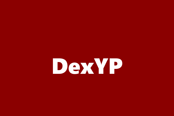 Software Firm DexYP