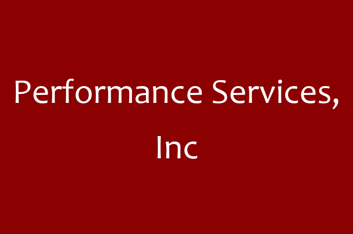 Tech Solutions Company Performance Services Inc