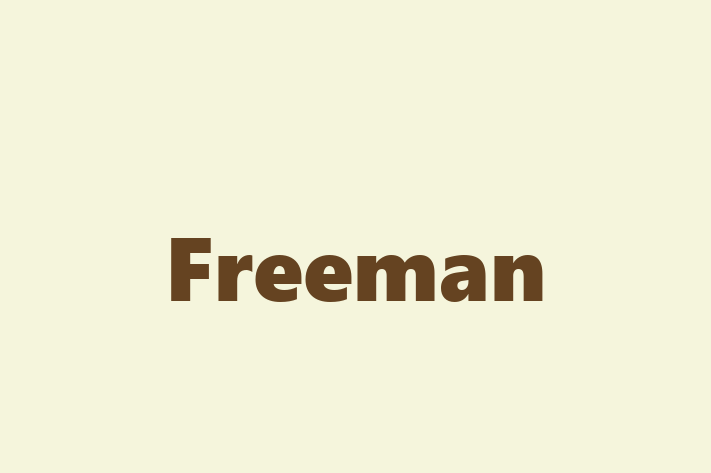 Software Development Company Freeman