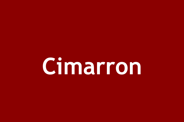 Human Resource Management Cimarron