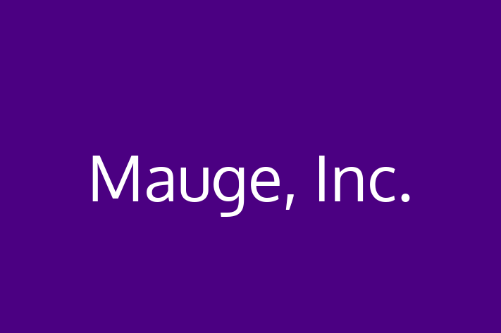 Software Development Firm Mauge Inc.