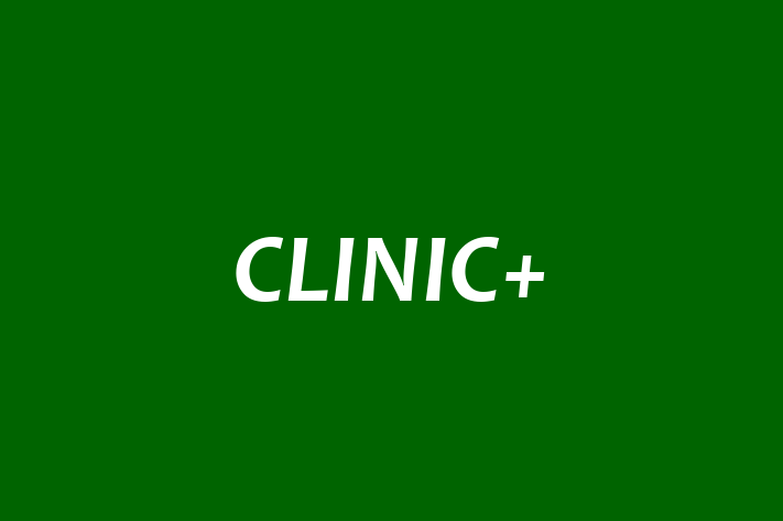 Technology Solutions Firm CLINIC+