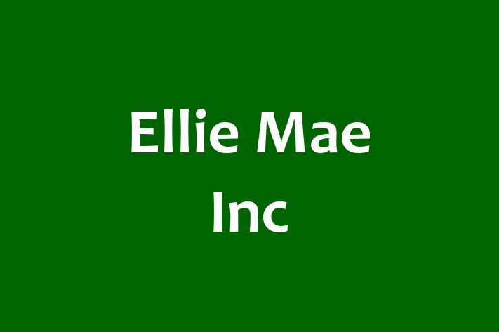 Tech Solutions Company Ellie Mae Inc