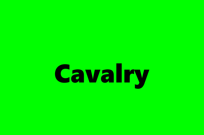 Software Development Company Cavalry