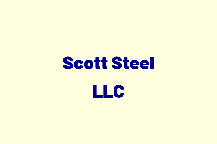 Talent Management Scott Steel LLC