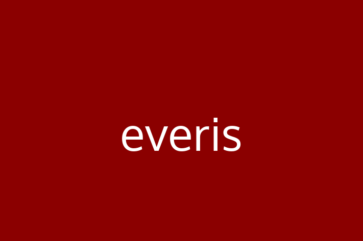 Technology Solutions Firm everis