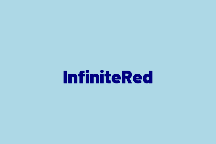 Software Consultancy InfiniteRed