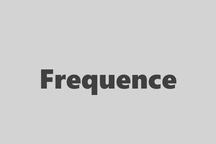 Application Development Company Frequence