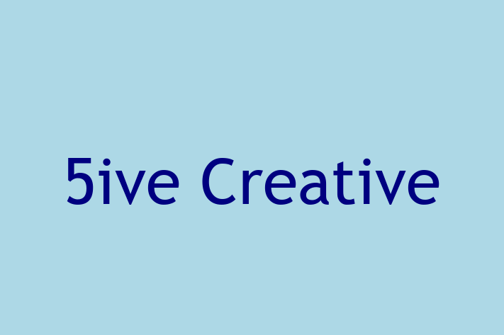 Software Solutions Provider 5ive Creative