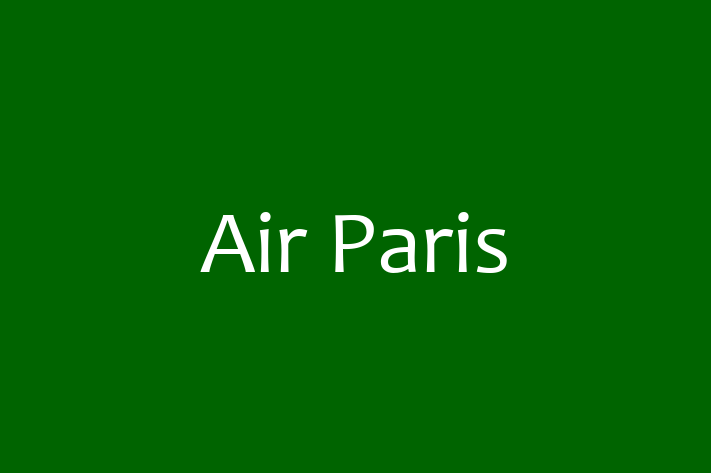 Digital Solutions Provider Air Paris