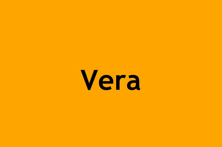 Software Services Company Vera