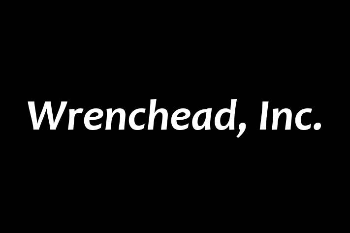 Software Development Firm Wrenchead Inc.