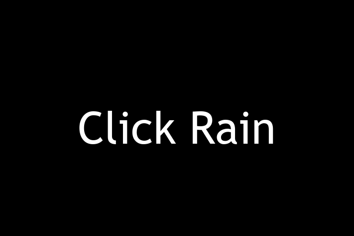 Tech Firm Click Rain