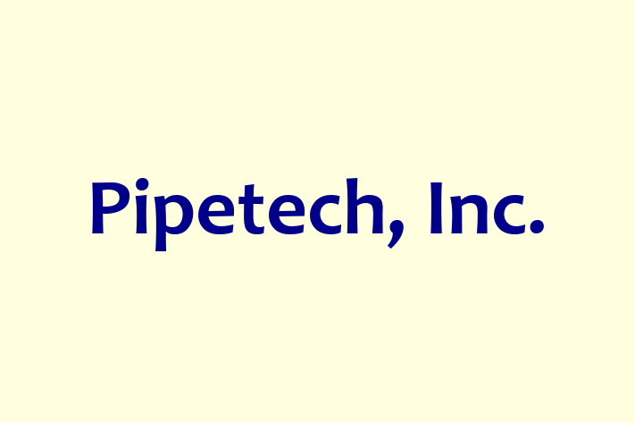 Software Development Firm Pipetech Inc.