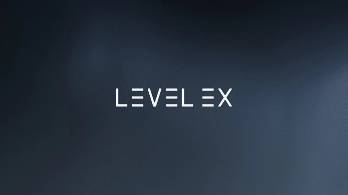 IT Company Level Ex