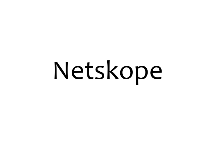 Application Development Company Netskope