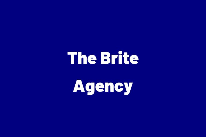 Software Development Company The Brite Agency