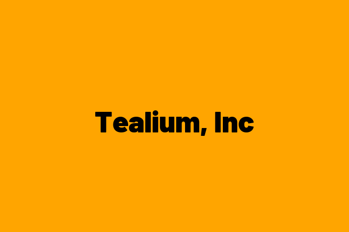 Technology Solutions Firm Tealium Inc