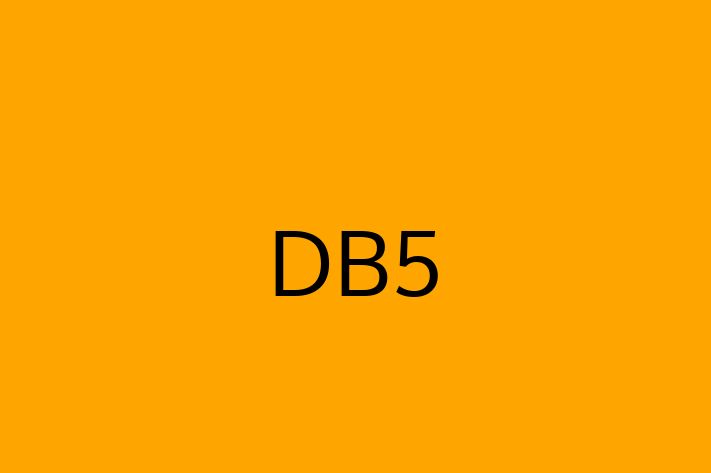 Software Firm DB5