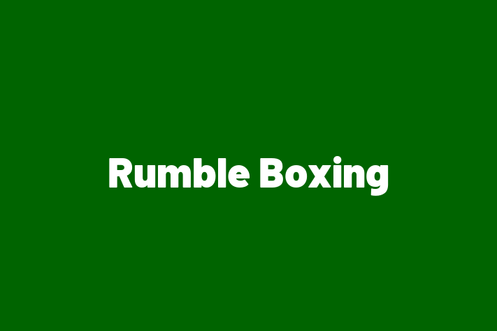 Staff Management Rumble Boxing