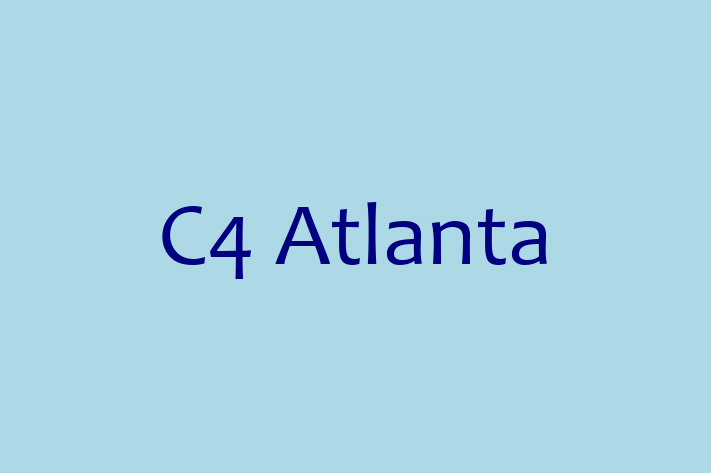 Application Development Company C4 Atlanta