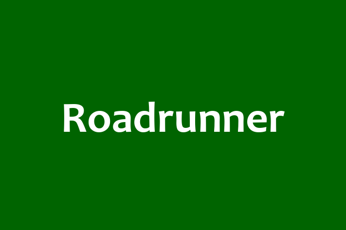 Talent Management Roadrunner