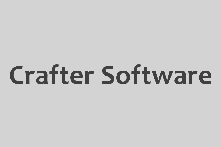 Technology Company Crafter Software