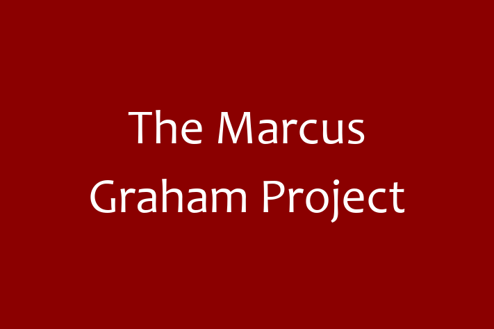 Software Consultancy The Marcus Graham Project