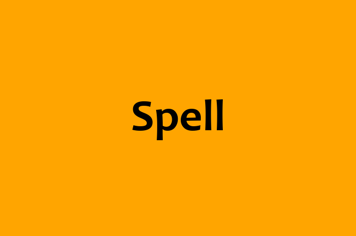 Digital Solutions Provider Spell