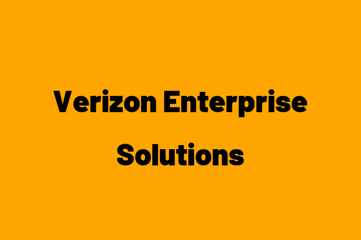 Software Development Firm Verizon Enterprise Solutions