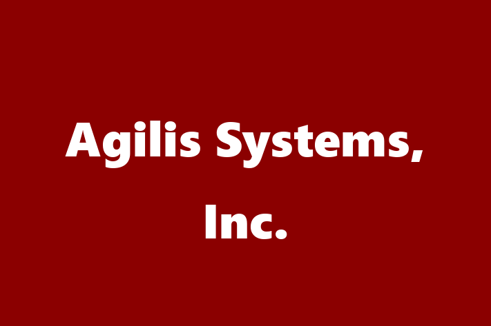 IT Company Agilis Systems Inc.