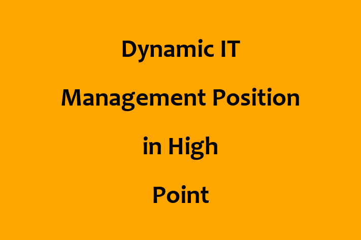 Dynamic IT Management Position in High Point