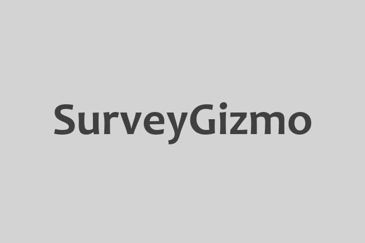 Technology Solutions Firm SurveyGizmo