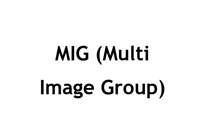 Digital Solutions Provider MIG Multi Image Group