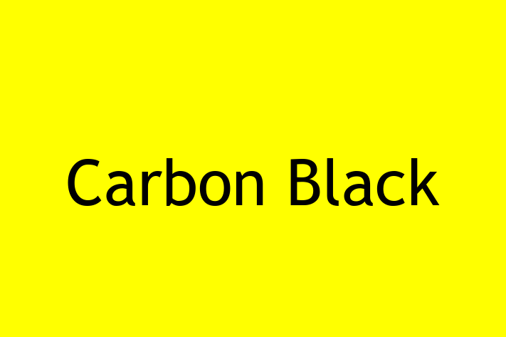 Software Services Company Carbon Black