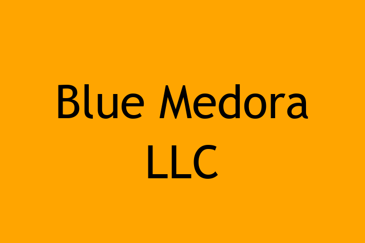 Technology Company Blue Medora LLC