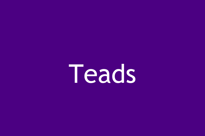 Software Engineering Company Teads