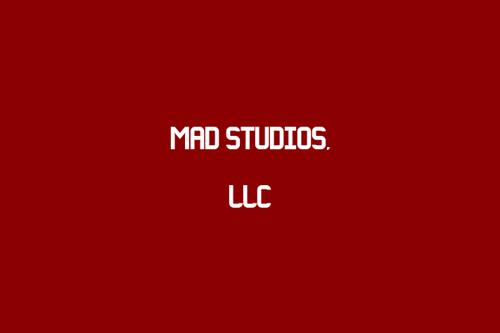 Tech Firm Mad Studios LLC