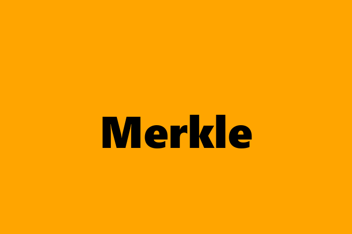 Tech Solutions Company Merkle