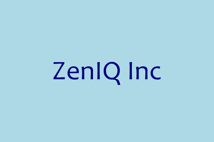 IT Company ZenIQ Inc