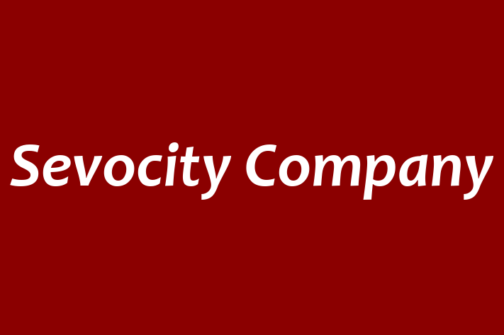 Software Development Firm Sevocity Company