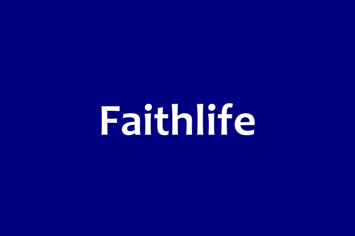 Software Development Company Faithlife