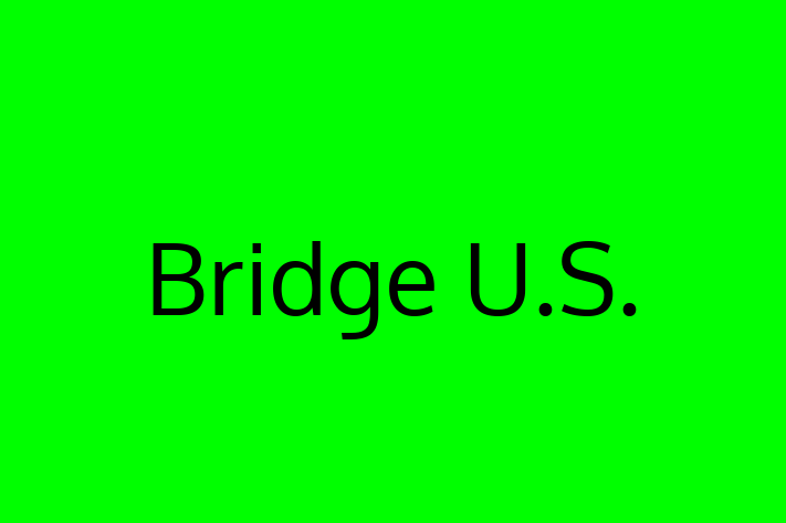 Application Development Company Bridge U.S.