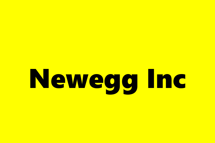 Digital Solutions Provider Newegg Inc