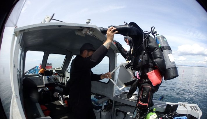 Employee Resource Management Marine Surveys  Assessments