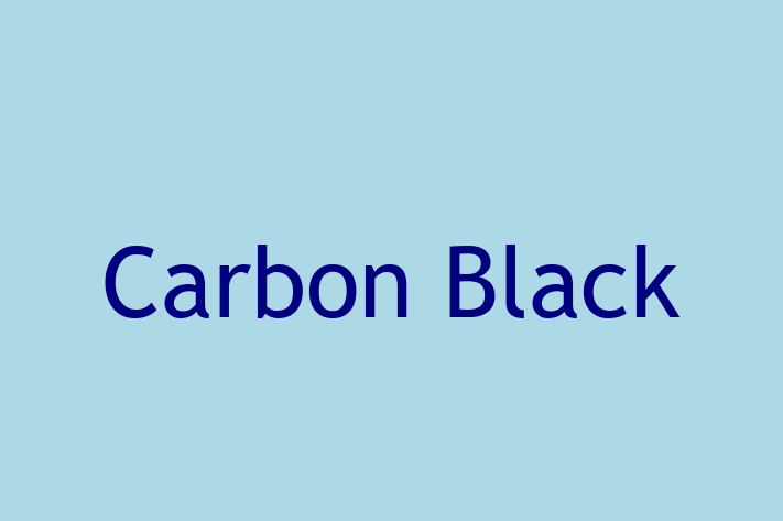 Software Firm Carbon Black