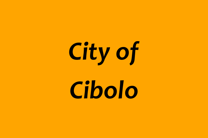 Workforce Management City of Cibolo