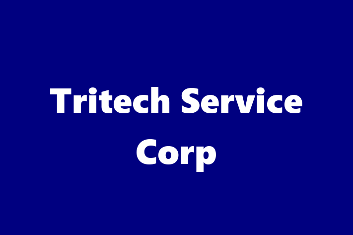 Software Development Firm Tritech Service Corp