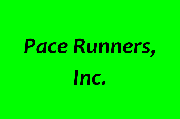 Technology Solutions Firm Pace Runners Inc.