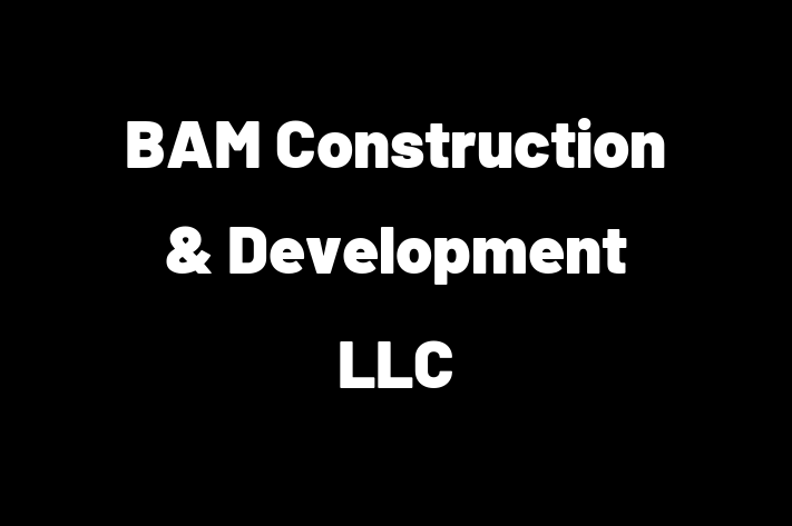 Staff Management BAM Construction  Development LLC